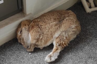 I was worried for a second 😂