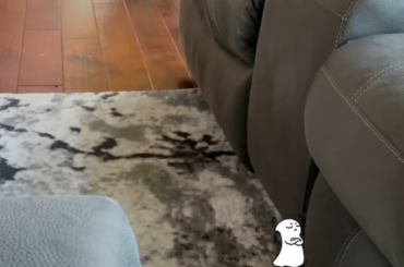 Toooo cute. That disappointed face