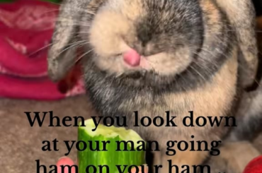 Get you a man who eats you like butch eats cucumber 😂😂😂