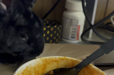 Help yourself it’s fine