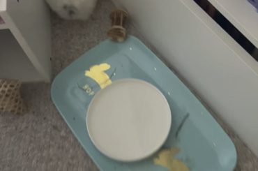 she has never shown me the slightest bit of love or affection in her whole life but i would take a bullet for her