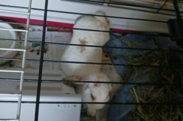 Sir??? Do you need assistance???