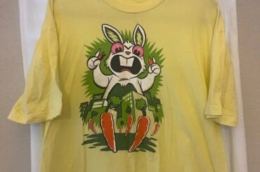 i cant begin to tell you how much i love this