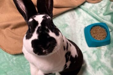 Did you just say I’m cute?