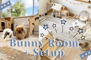 The Bunny Room Tour + Setup!