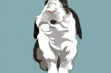 Hi! I'm making digital pet designs for just 10usd to pay for my college, I'd really appreciate it if you'd like 1 :)