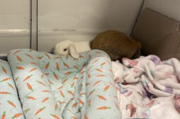 Finding more spots in between two things 🥹