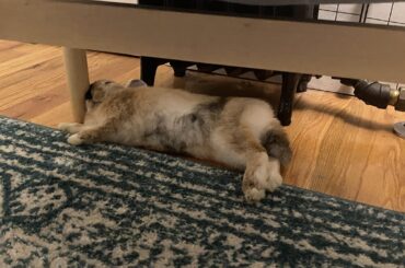 Chair legs are so comfy