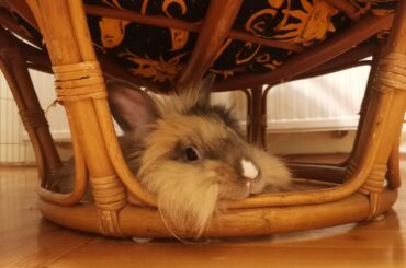 The softest pillow in her eyes...