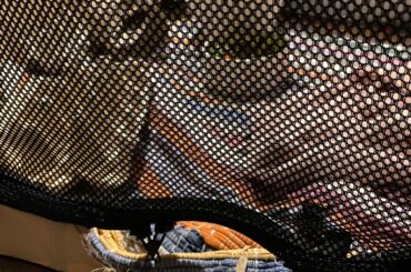 1st 10 muinets in her new indoor run