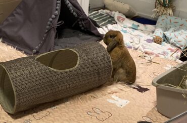 Zen says “who goes there??”