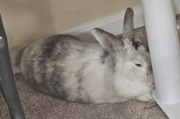 That looks…comfy 😅