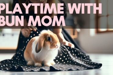 Let this cute bunny rabbit's playtime with human make your day