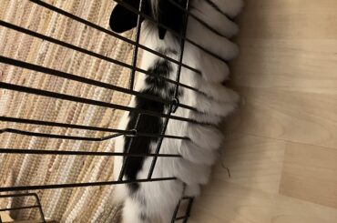 The door is always open but…