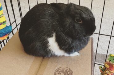 I was told this belonged here…