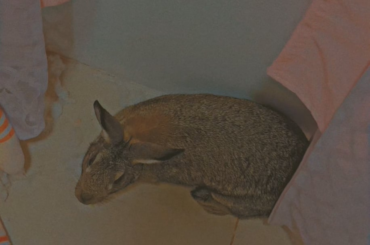 someone is standing behind the curtain