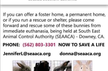 Please help if your in LA