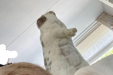 Conquering mount Hooman