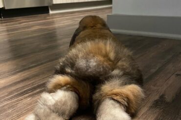 The end of a noodle 😮