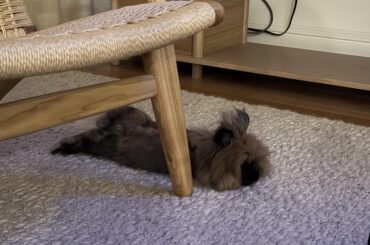 Mo showing off his best noodle pose