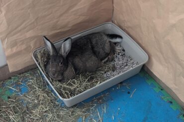 Sleep where ya eat and where ya shit, why don't ya