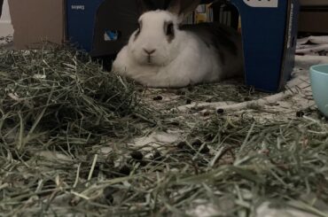 Was told she belongs here ❤️