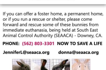 Saw this on a Facebook group and decided to share