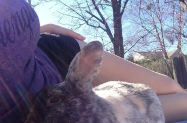 Lost my Buggy almost 4 years ago. The loaves on this sub are are sweet reminder of him!