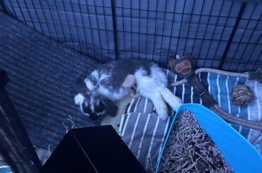 A small collection of different shaped pasta.