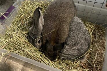 I mean…. If it works, it works 🤷🏻‍♀️