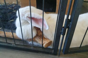 You don't have to lay RIGHT THERE.