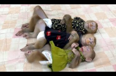 3 Sisters Sleep Very Comfy & DEEPLY Like A Cute Rabbit After Mom Softly Comforting Them ,