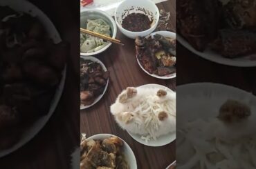 Rabbit mom, served today