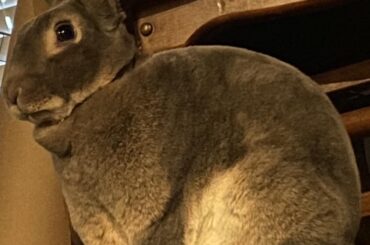 He is large and in charge 💪🏽