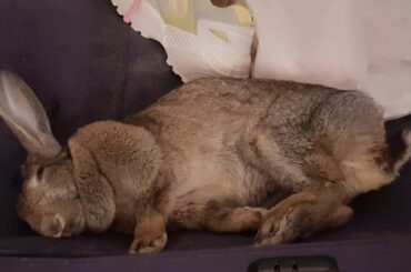 mam you can't sleep here