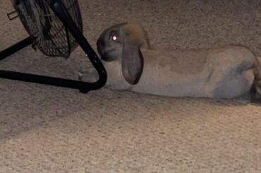 could you get any closer