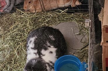 Always in the weirdest places