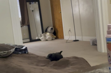 I’ve flopped and I can’t get up…….