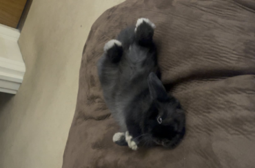 I was told to post this here…..