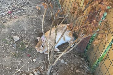 Chilling in the Winter Heat