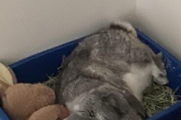 interesting sleep choice