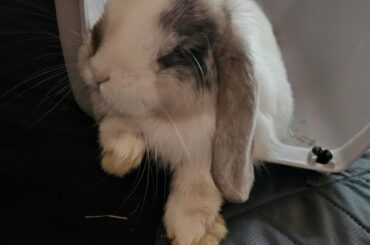 Saw this sub and immediatly knew I need to post this in here