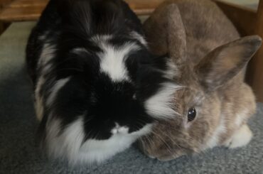 Pro tip: your husbuns head as a pillow for maximum comfort.