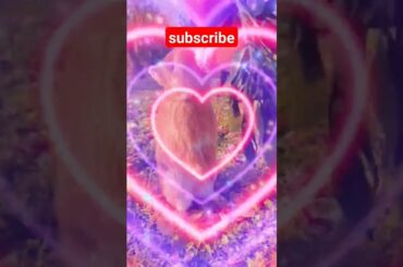 Our cute friend baby rabbit eats tangerine #rabbit #viral #cute