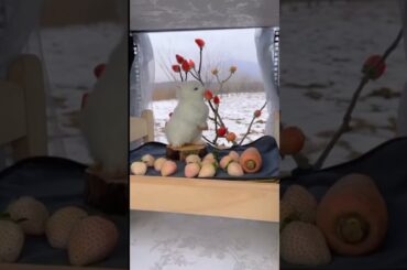 #Cute rabbit #youtubeshorts #shorts #shortvideo