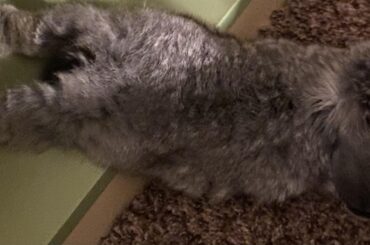 I’m not sure I can explain this one ..