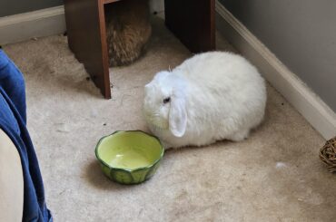 Don't you see the problem, hoom?