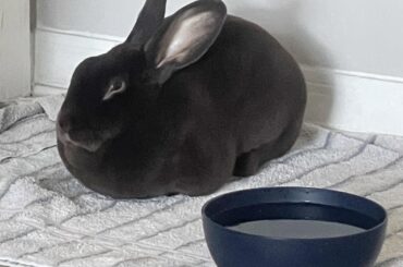 Loaf mode this Sunday.