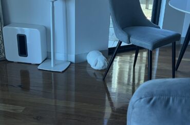 Oh no, it looks like we dropped the dough on the floor again.