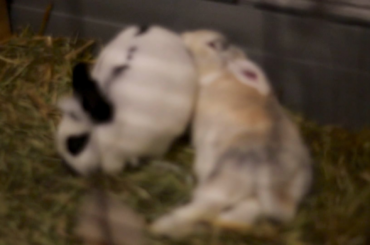 I’m comfortable and won’t let anybody tell me otherwise